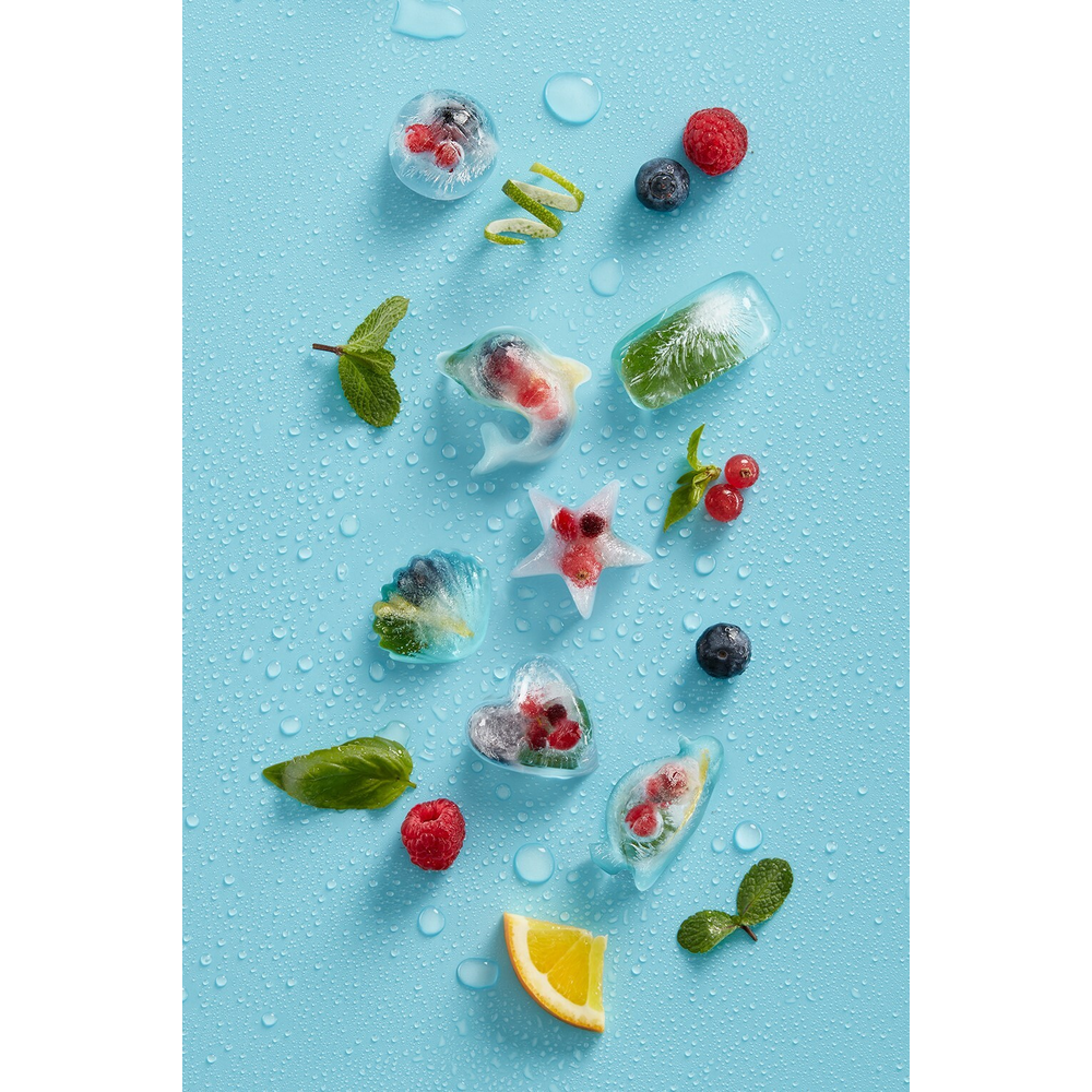 Shell Ice Cube Tray, with Lid