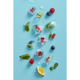 Shell Ice Cube Tray, with Lid