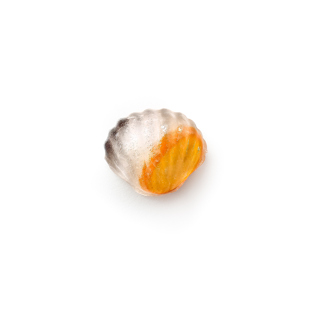 Shell Ice Cube Tray, with Lid