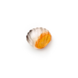 Shell Ice Cube Tray, with Lid
