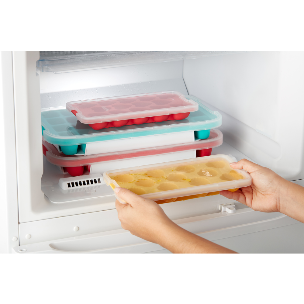Shell Ice Cube Tray, with Lid